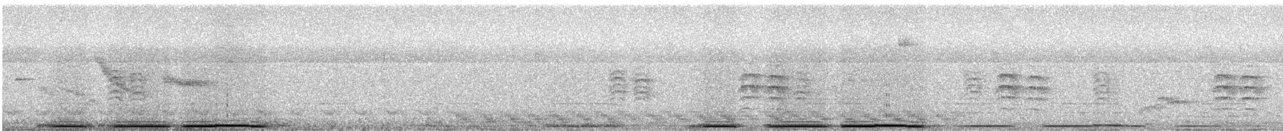 hrdlička pacifická - ML645398059