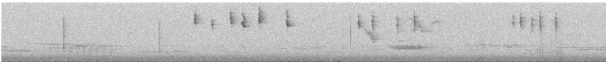 White-winged Warbler - ML645398355