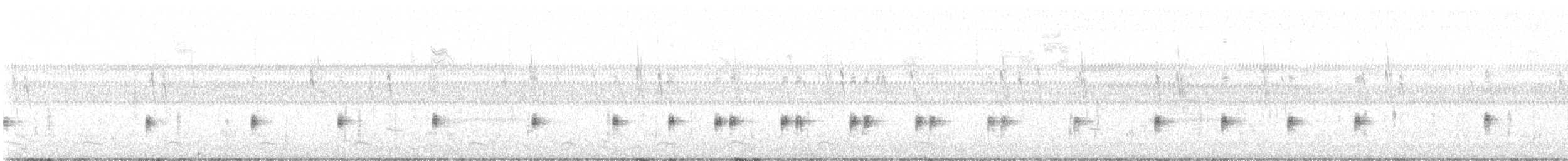 Virginia Rail - ML645398410