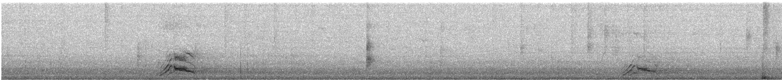 Mute Swan - ML645398449