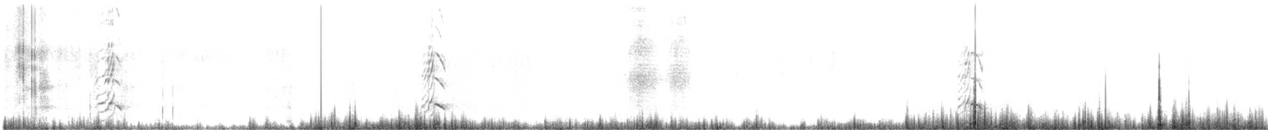 datel velehorský - ML645398542