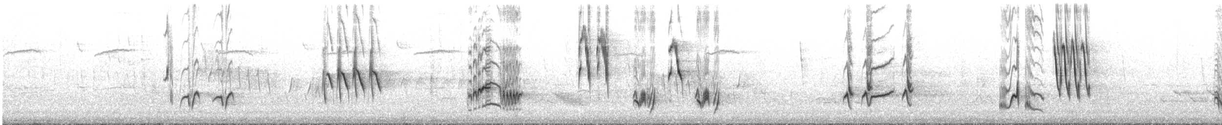 Brown Thrasher - ML645398582