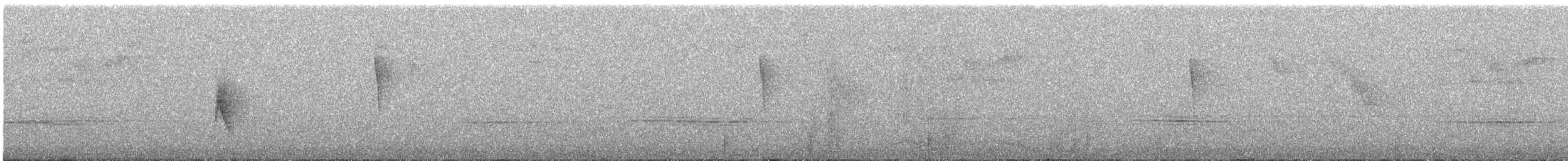 Hispaniolan Elaenia - ML645398624