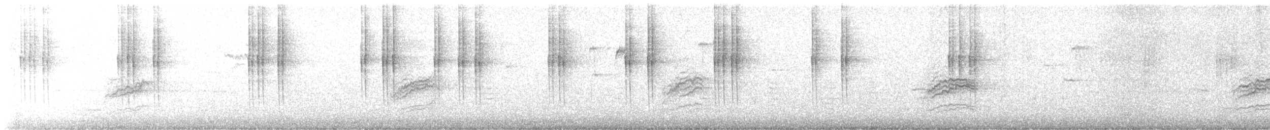 Hermit Thrush - ML645398684