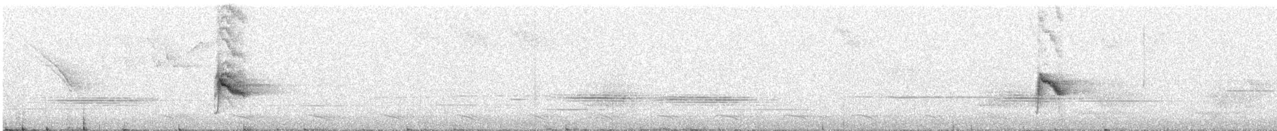 Bicknell's Thrush - ML645399337