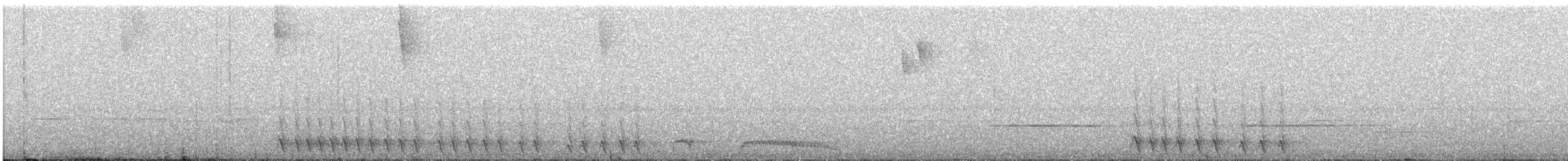 Hispaniolan Trogon - ML645399380