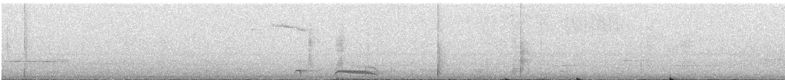 Hispaniolan Trogon - ML645399381