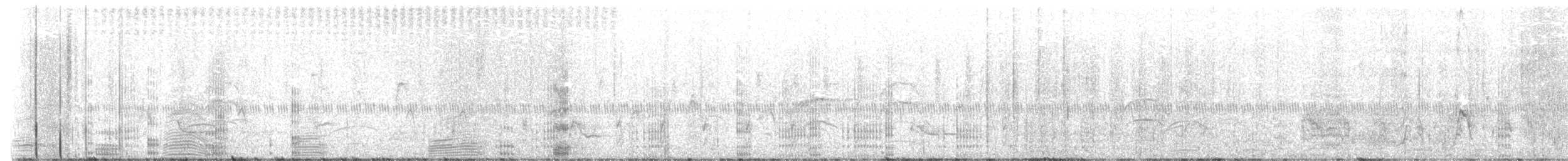 Neotropic Cormorant - ML645399384