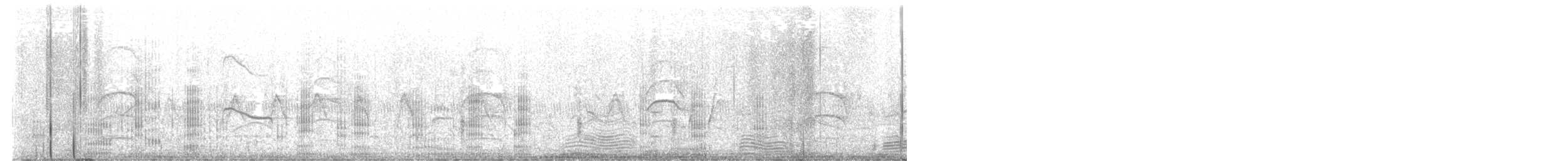 Neotropic Cormorant - ML645399385