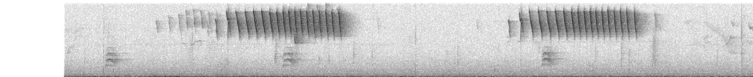 Hispaniolan Spindalis - ML645400817