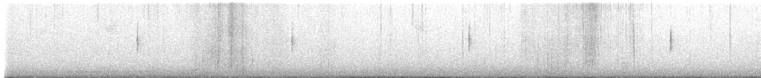 MacGillivray's Warbler - ML645401482