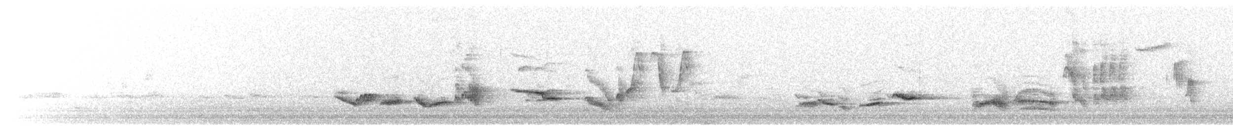 Eurasian Blackbird - ML645405193