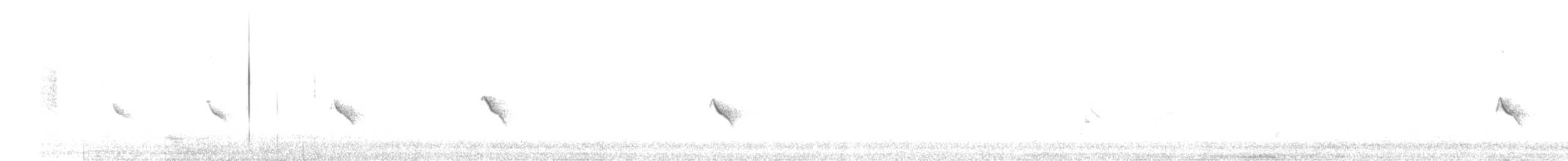 Evening Grosbeak (Northwestern or type 1) - ML645405583