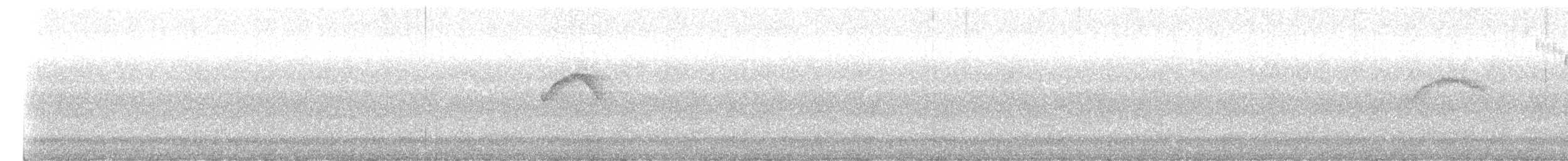 Chestnut-bellied Chat-Tyrant - ML645406384