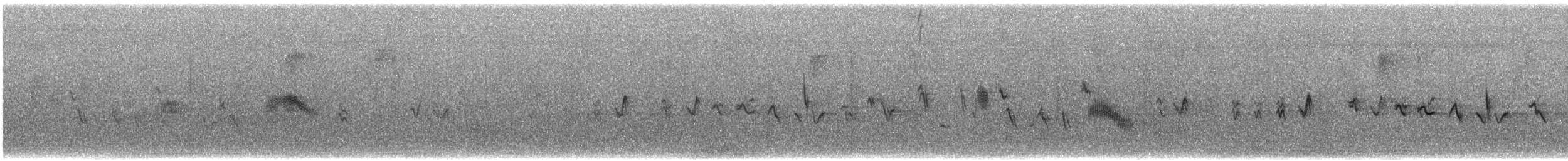 House Finch - ML645407057