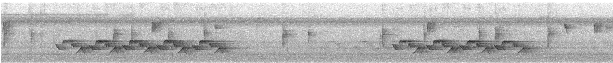 Carolina Wren - ML645407100