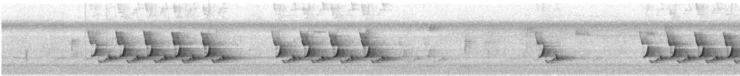 Carolina Wren - ML645407102