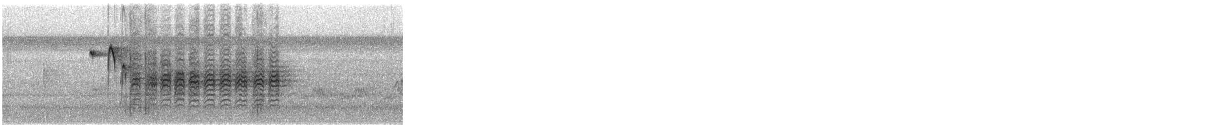 Carolina Chickadee - ML645407135