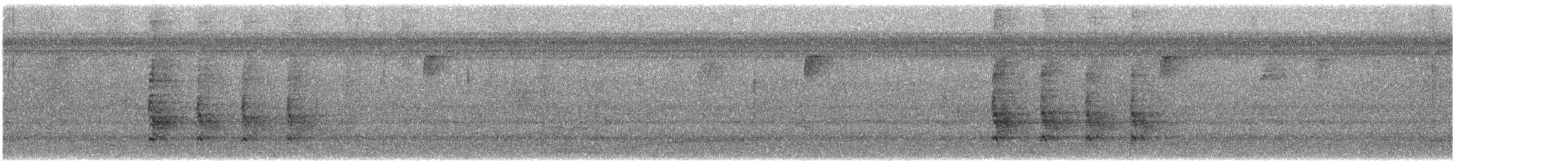 Red-bellied Woodpecker - ML645407242