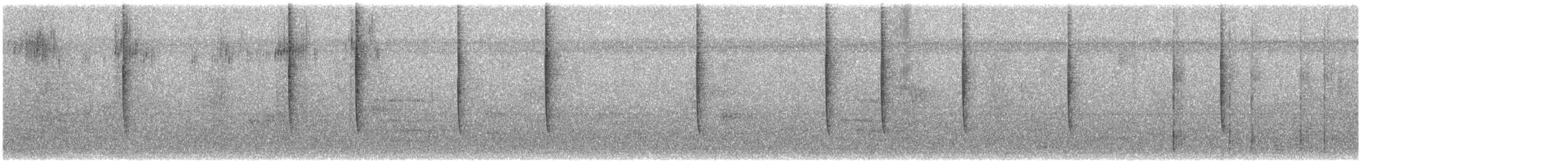 Rufous Hummingbird - ML645407280