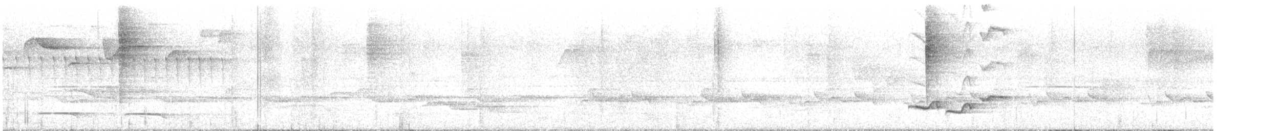 White-breasted Wood-Wren - ML645407824