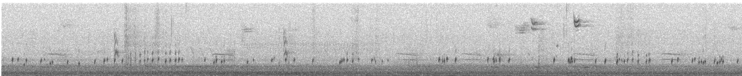 Carolina Wren - ML645407931