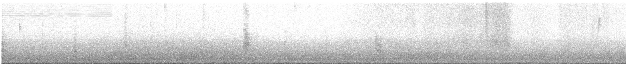 Costa's Hummingbird - ML645408580