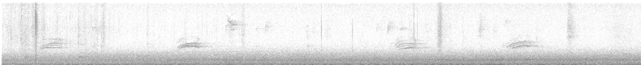 Hermit Thrush - ML645408653