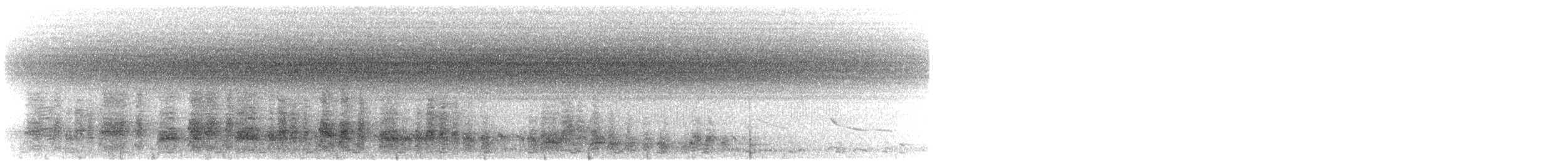 Red-billed Spurfowl - ML645408739