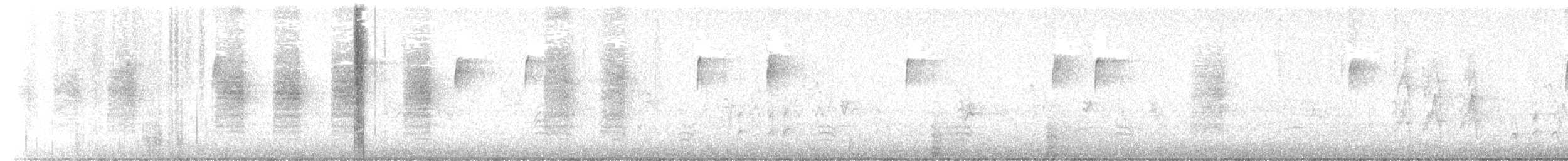 Каролинский крапивник - ML645409076