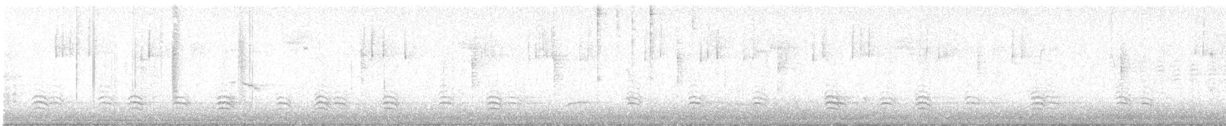 White-breasted Nuthatch - ML645409683