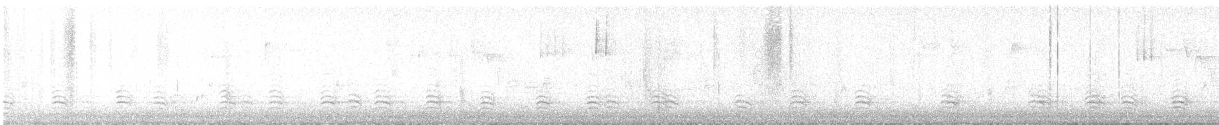 White-breasted Nuthatch - ML645409684