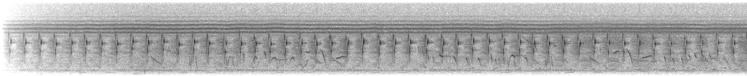 Black-chested Prinia - ML645410200