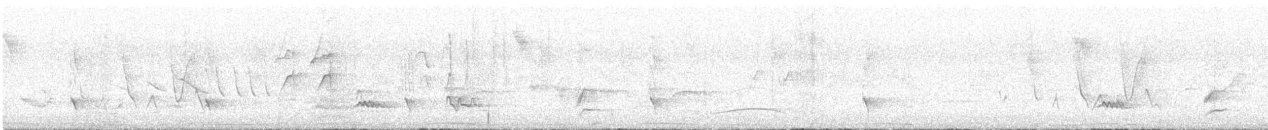 Swainson's Flycatcher - ML645410337