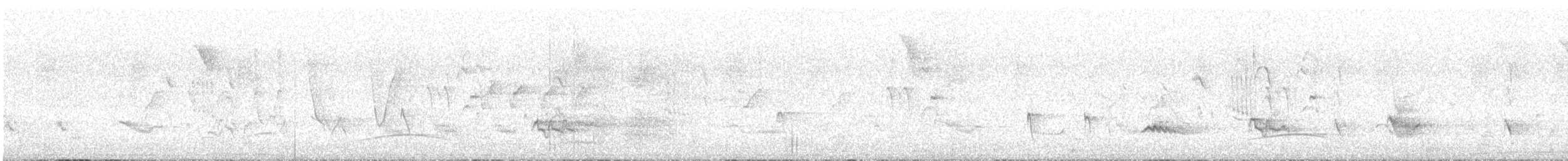 Swainson's Flycatcher - ML645410338