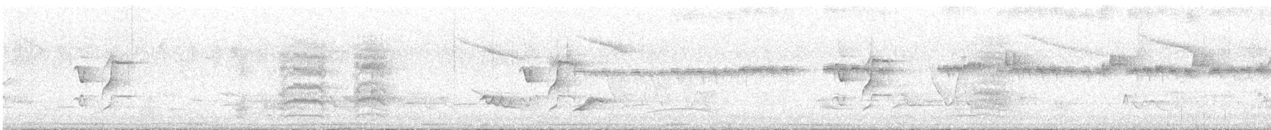 Tropical Kingbird - ML645410630