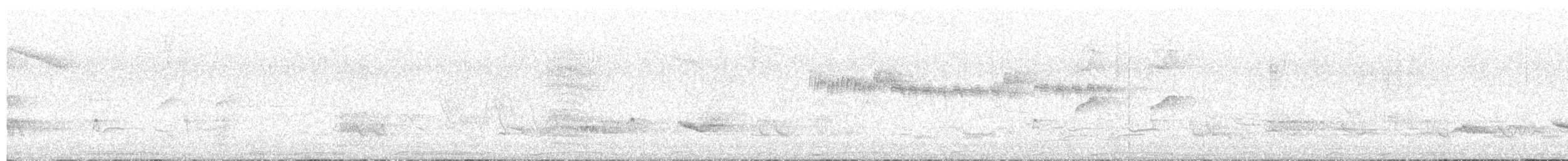 Tropical Kingbird - ML645410631