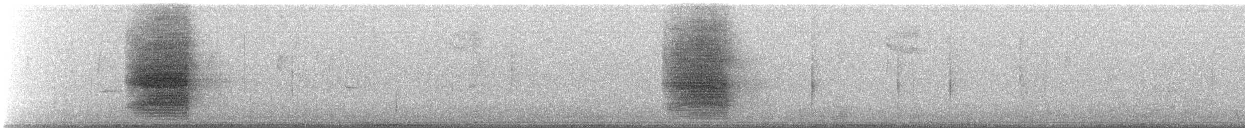 Steller's Jay (Southwest Interior) - ML645411115