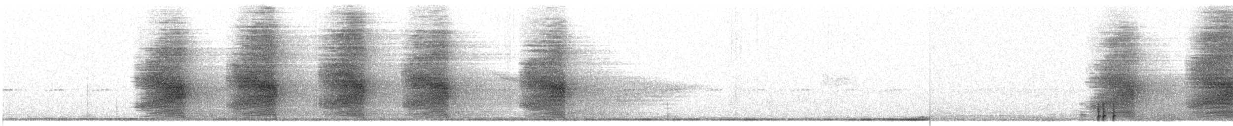 Steller's Jay - ML645411342