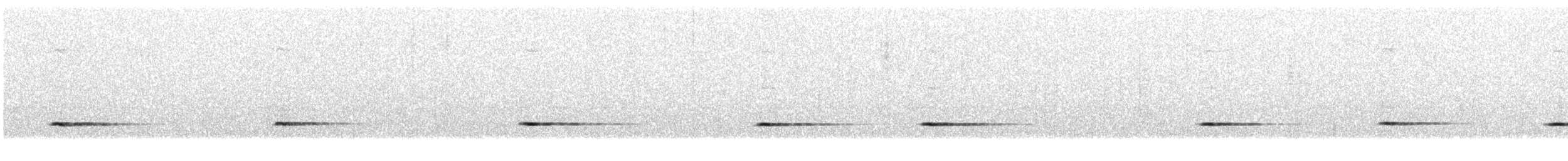 gråsolitærtrost - ML645411356