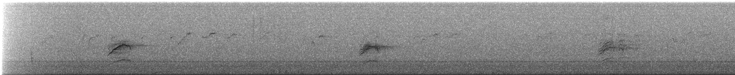 eremittskogtrost - ML645411411