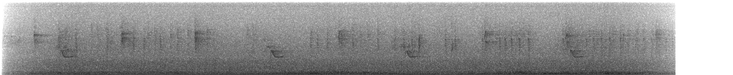 eikevireo (stephensi gr.) - ML645411498