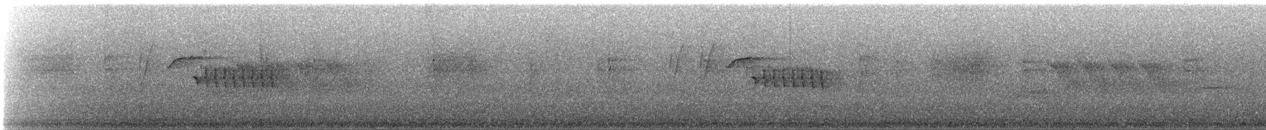 langstjertsmett (mexicanus gr.) - ML645411707