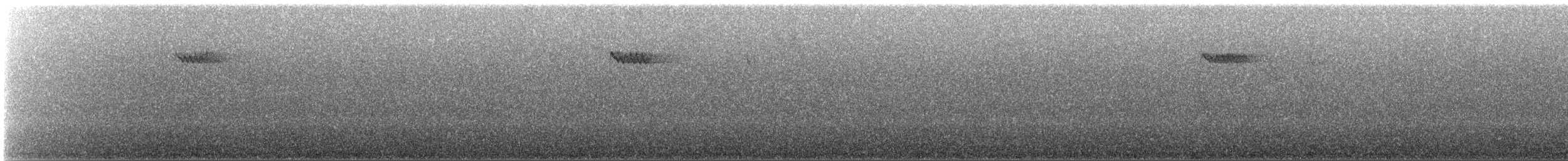 Brown Creeper - ML645412052