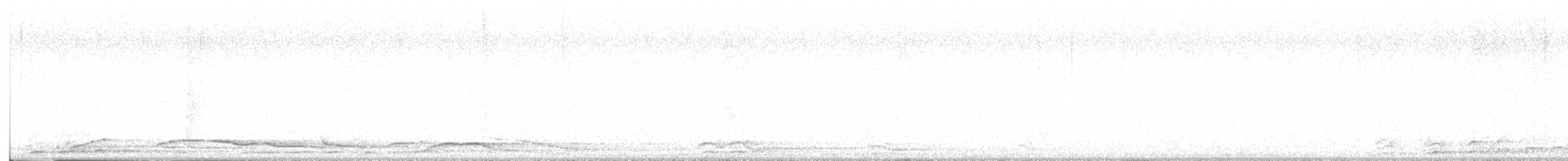 Coyote - ML645412340