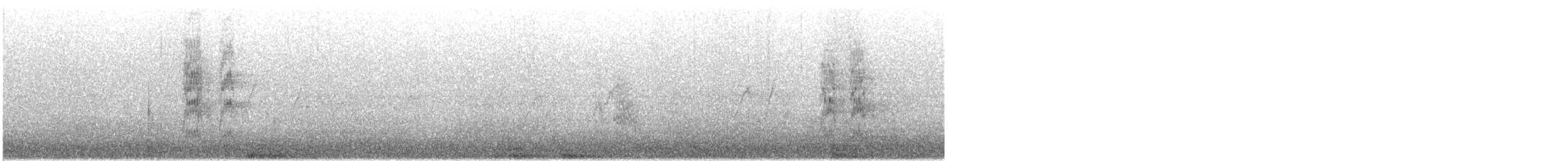 斑點鶇 - ML645412996