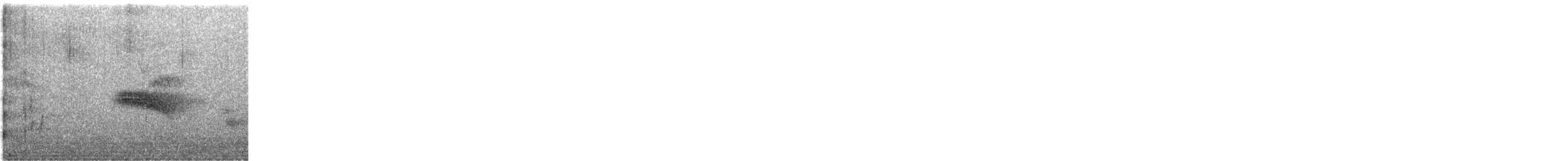 Western Wood-Pewee - ML645413220