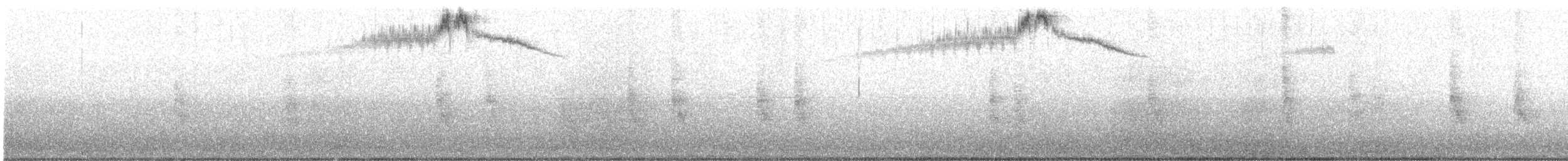 Veilchenkopfelfe - ML645414100