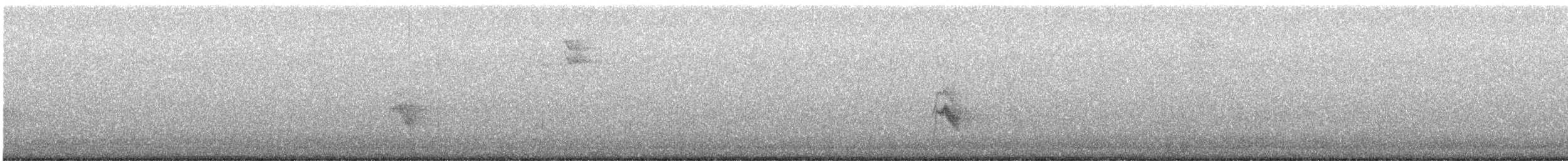 Grauwangen-Musendrossel - ML645414602