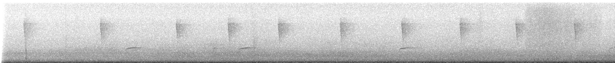 Tordo di Swainson - ML645414606